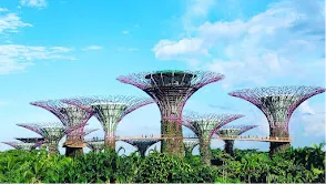 Gardens by the Bay